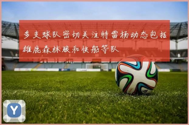 多支球队密切关注特雷杨动态包括雄鹿森林狼和快船等队
