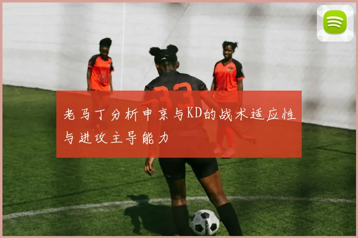老马丁分析申京与KD的战术适应性与进攻主导能力