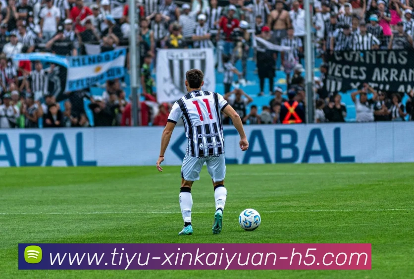 App Interface Preview