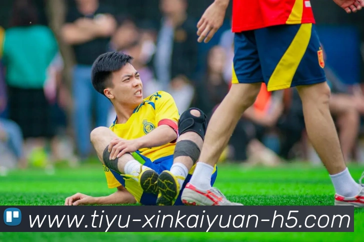 开元体育APP 封面图